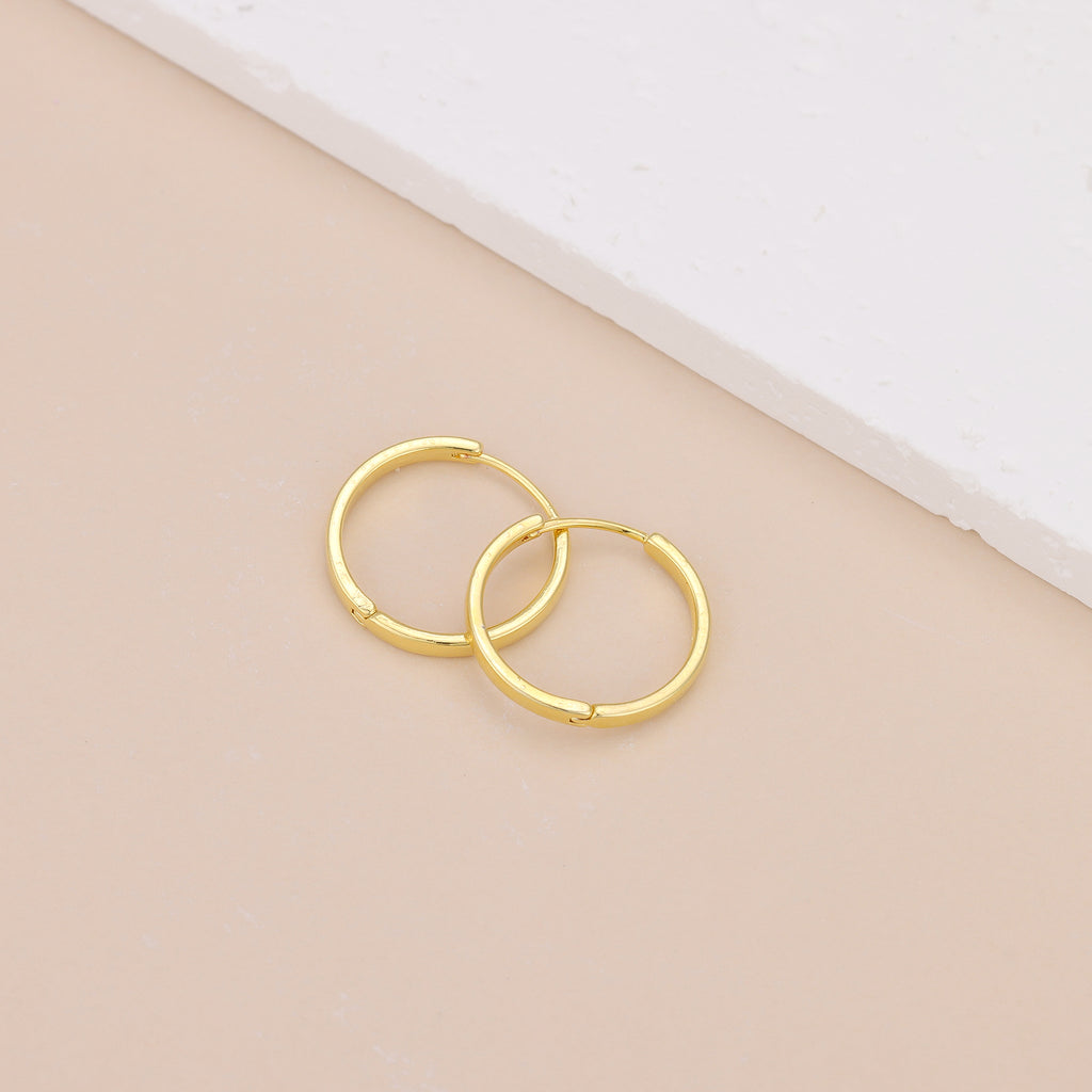 Minimalist 18K Gold Plated Small Hoop Earrings E133
