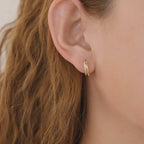 Double Paved Huggie Hoop Earrings E072